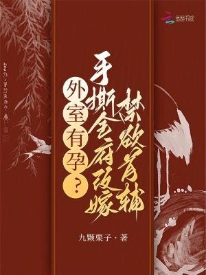 外室免费阅读