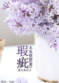 瑕疵的近义词